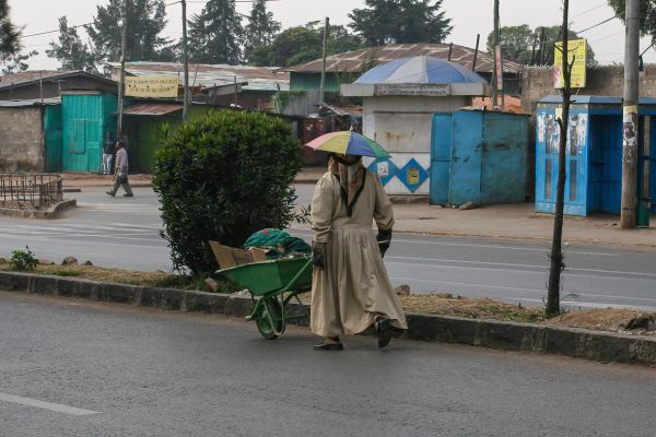 Gardening service Addis Ababa