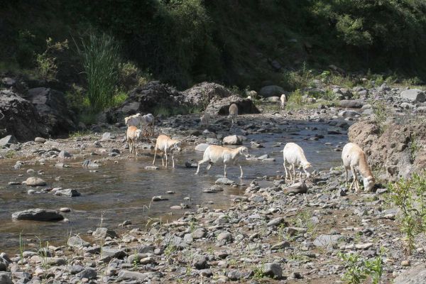Along the road to Ankobar