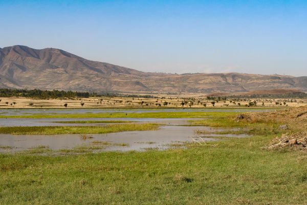 Drive to Debre Zeit