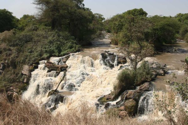 Awash NP (Awash river)