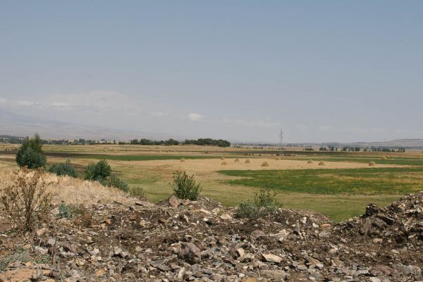 On the way from Goba to Dinsho