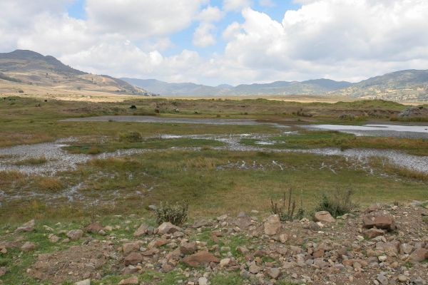 On the way from Goba to Dinsho