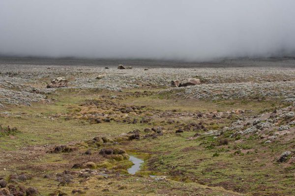 Sanetti plateau (830 mi²)