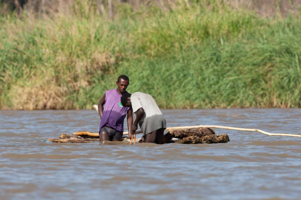 Not so smart with crocodiles around