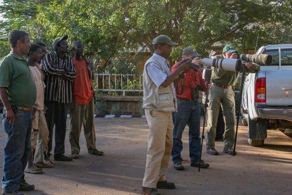Photographing an African Black-headed Oriole with great interest