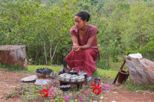 Aregash lodge Yirgalem (coffee ceremony)