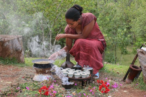 Aregash lodge Yirgalem (coffee ceremony)