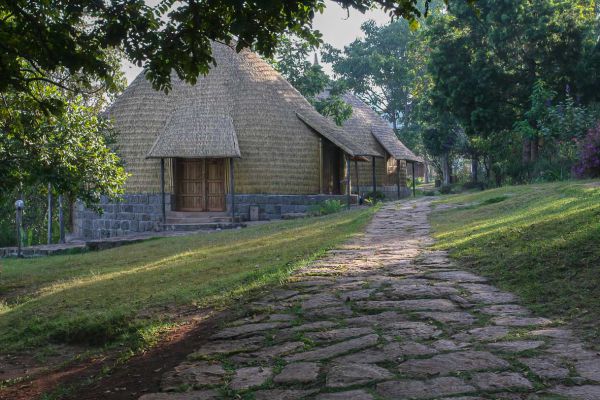 Aregash lodge Yirgalem. Very well run by a couple (she was Italian and he was a Greek)