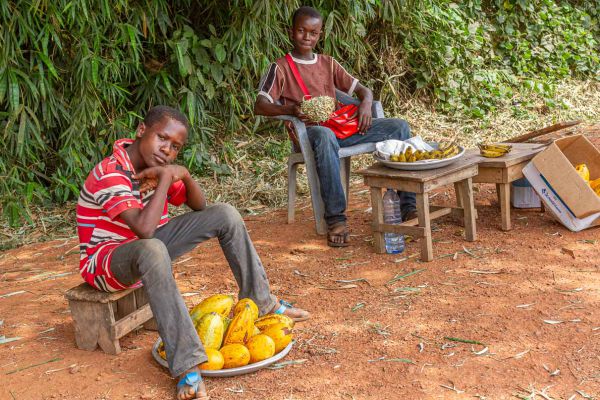 Mangoes and bananas Kakum NP