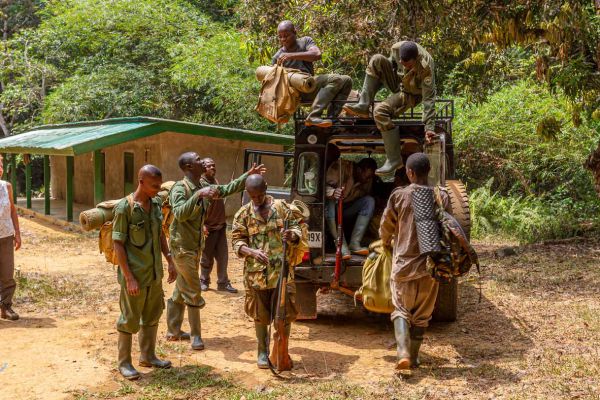 Forest rangers