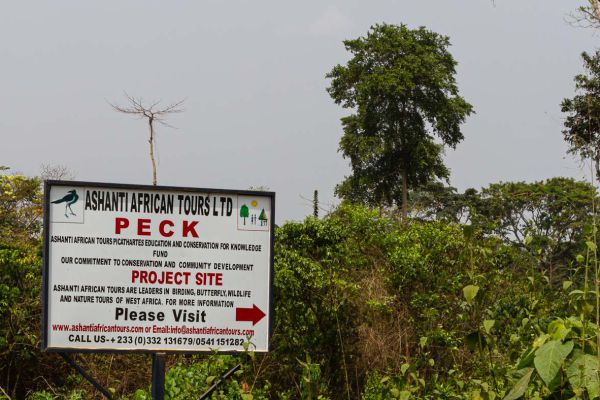 Route sign to the Picathartus