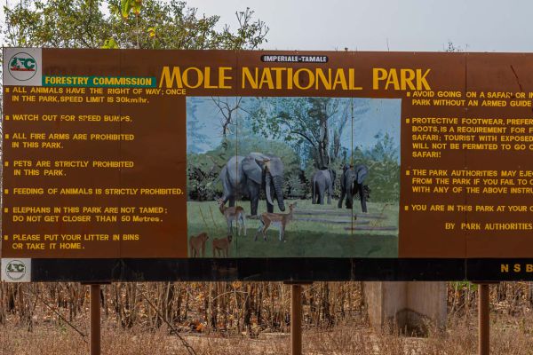 Mole NP