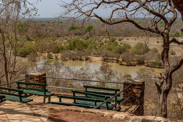 View over the waterholes Mole NP