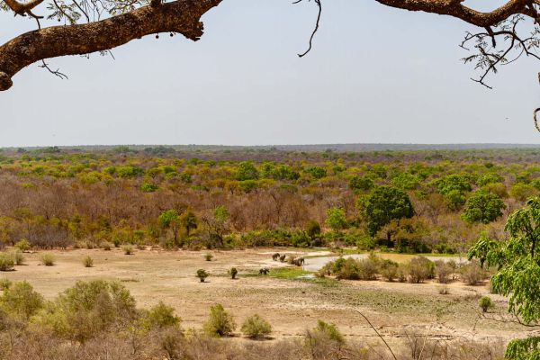 View over the waterholes Mole NP