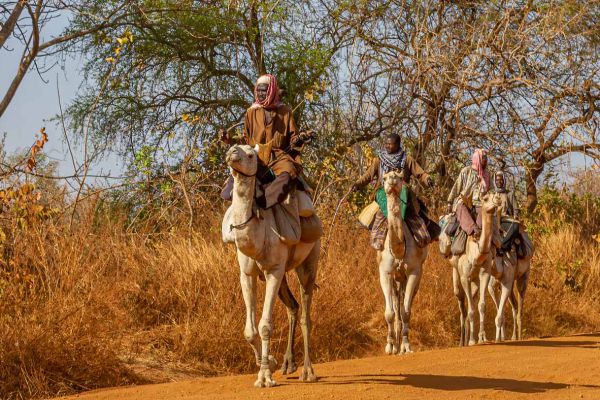 Emigrants from neighboring Burkina Faso