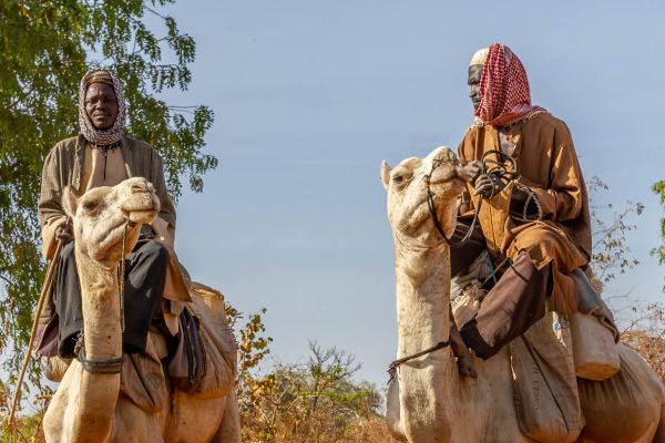 Emigrants from neighboring Burkina Faso
