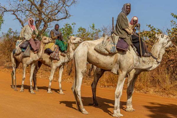 Emigrants from neighboring Burkina Faso