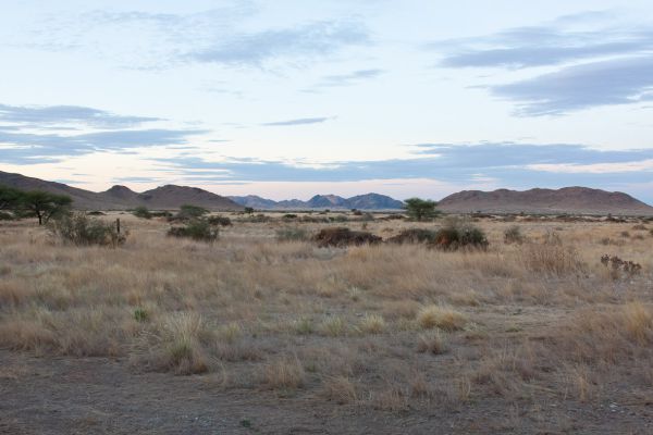 Weltevreden guest farm  Naukluft NP