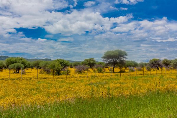Wilderness lodge Waterberg Plateau