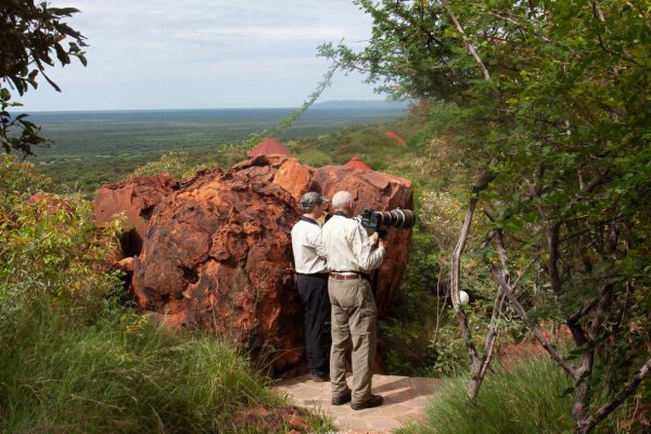 Waterberg Plateau Photographing the Damara Rock-jumper