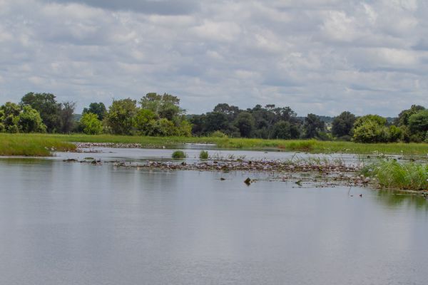 The Okavanga