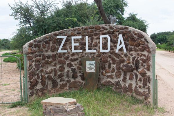 Zelda guest camp