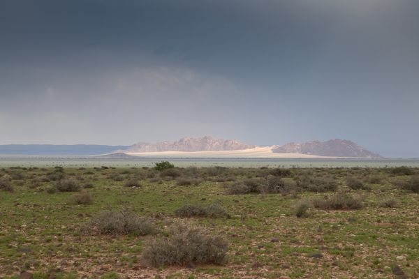 Near Solitaire
