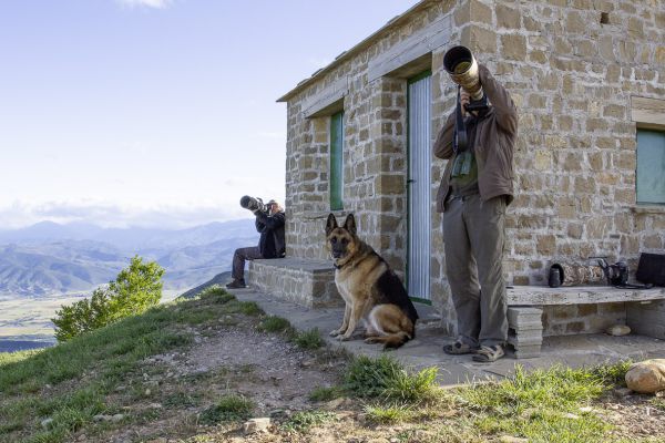 Toy-Joop higginsHiggins