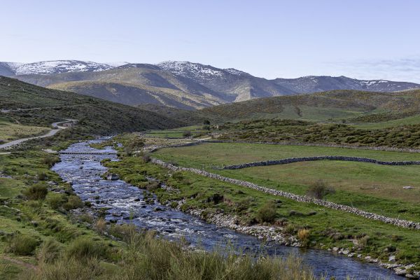 Sierra de Gredos 