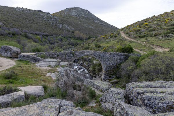 Sierra de Gredos 