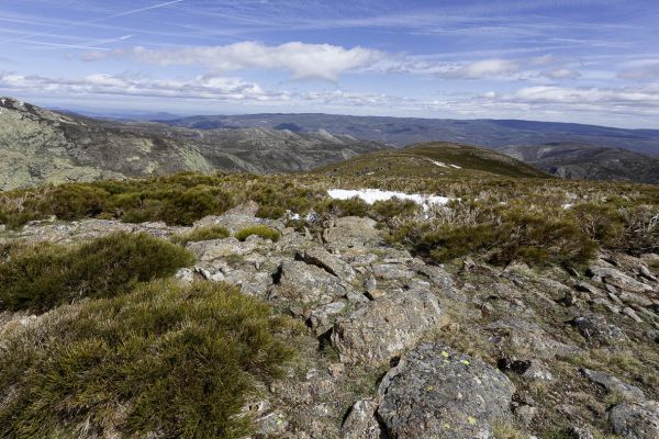 Sierra de Gredos 