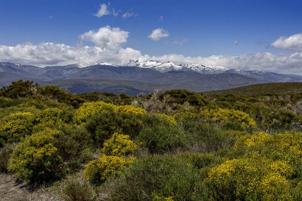 Sierra de Gredos 