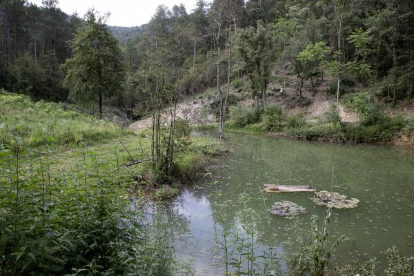 one of the ponds