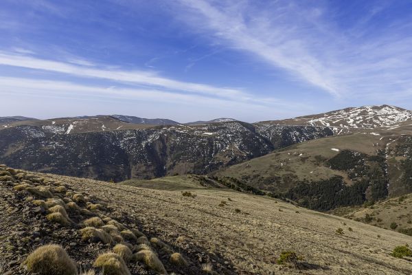 Pyrenees