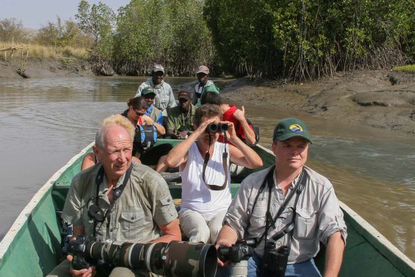 Boat trip mangrove Tendaba